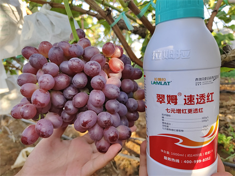 水溶肥,翠姆,葡萄水溶肥 水溶肥,翠姆,葡萄水溶肥