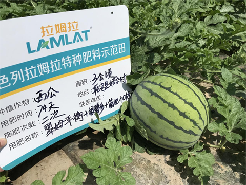 水溶肥,翠姆,西瓜管理技術(shù)要點 水溶肥,翠姆,西瓜管理技術(shù)要點