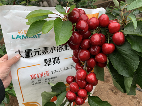水溶肥,翠姆,拉姆拉 水溶肥,翠姆,拉姆拉