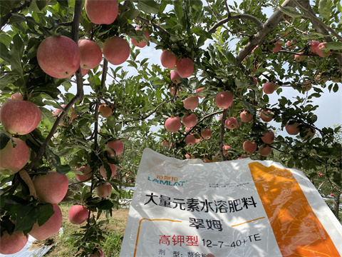 水溶肥,翠姆,蘋(píng)果種植 水溶肥,翠姆,蘋(píng)果種植