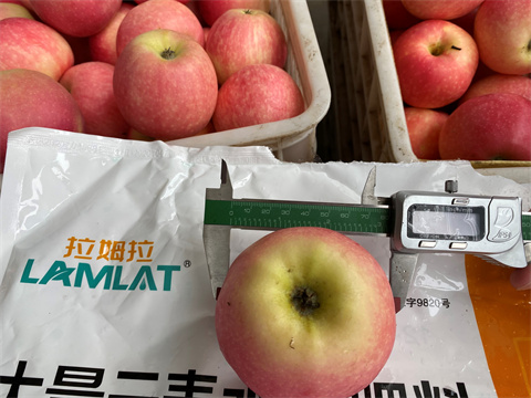 水溶肥品牌,翠姆,蘋(píng)果種植 水溶肥品牌,翠姆,蘋(píng)果種植