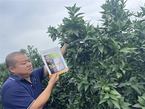 愛媛種植,水溶肥,伯示麥水溶肥 愛媛種植,水溶肥,伯示麥水溶肥