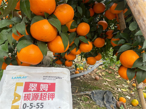 水溶肥,沃柑,翠姆碳源超鉀 水溶肥,沃柑,翠姆碳源超鉀