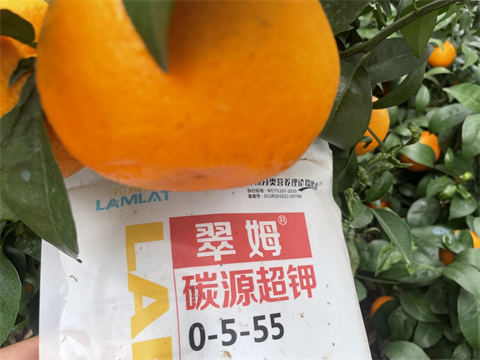 水溶肥,沃柑,翠姆碳源超鉀 水溶肥,沃柑,翠姆碳源超鉀