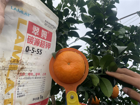 水溶肥,沃柑,翠姆碳源超鉀 水溶肥,沃柑,翠姆碳源超鉀
