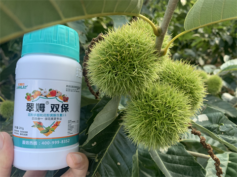水溶肥品牌,板栗?；ū９?翠姆雙保